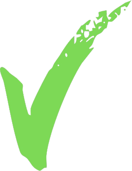 checkmark | vigilant software